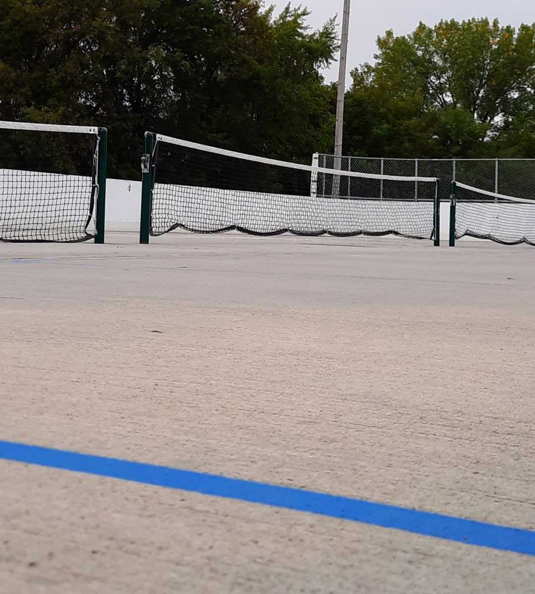 Pickleball net and bounds line