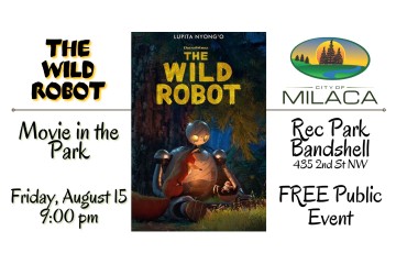 Wild Robot Movie in the Park